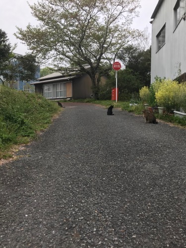 a0216583_22494745.jpeg