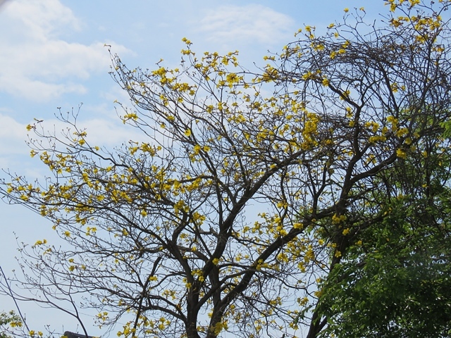 f0357487_20161417.jpg