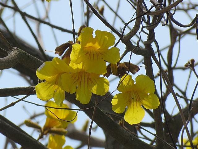f0357487_20180440.jpg