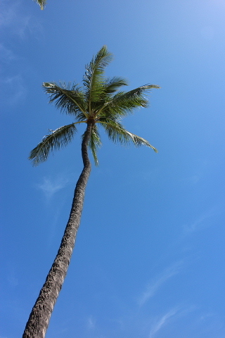 a0290690_22423716.jpg