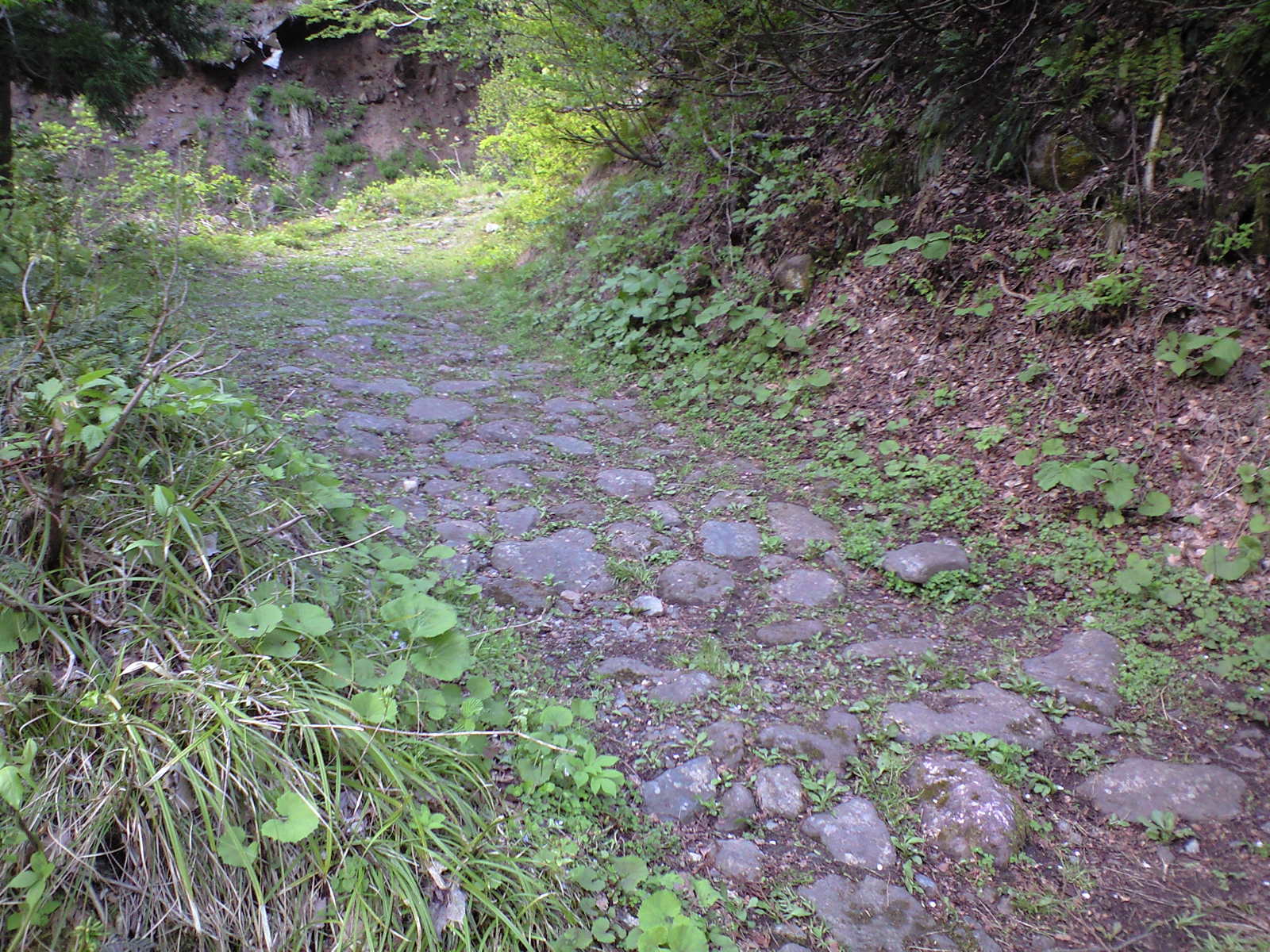 e0359590_22324767.jpg