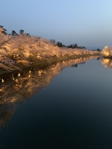 県内各地で満開のさくら 弘前城夜桜見物に行きました_a0134394_06425123.jpeg