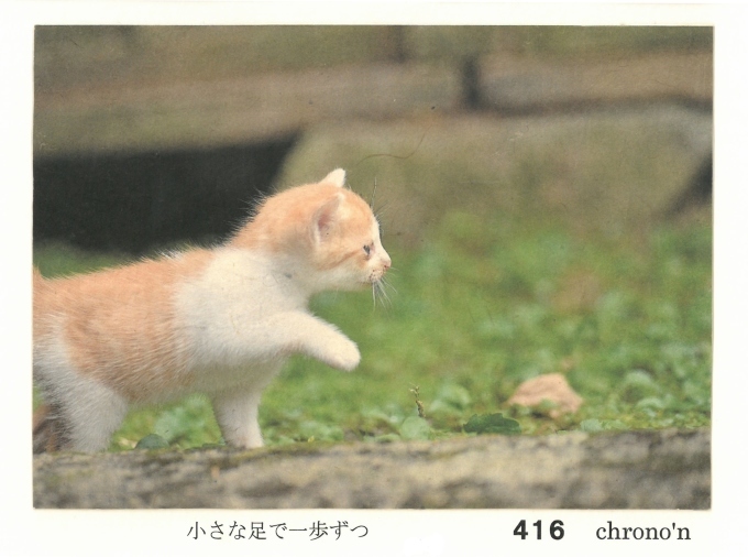 大佛次郎×ねこ写真展2019　人気投票結果！_b0134195_12192452.jpg