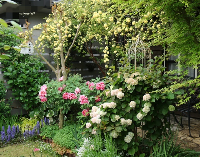 a0123003_21132387.jpg