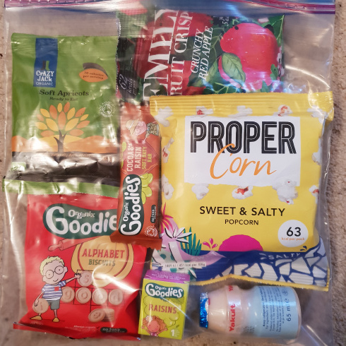 日本から帰りました！子連れ旅の便利品とtips！_a0215008_18582661.jpg