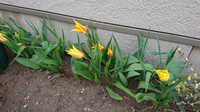 b0035611_20485926.jpg