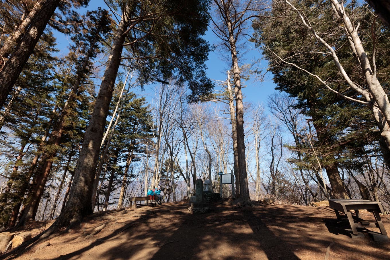 でっかい富士山を見に行こう!「天上山」(かちかち山)山頂~下山編_c0369219_17032529.jpg