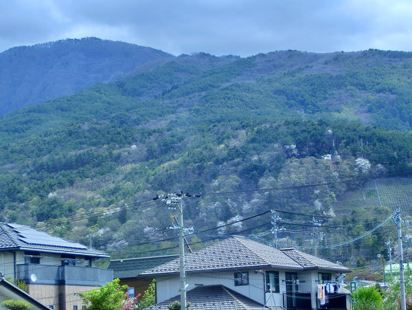 d0066822_10203452.jpg