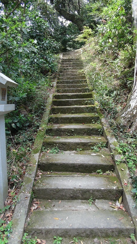 油山寺の大師山自然観察の森へ 2019年4月23日_a0265223_19414991.jpg