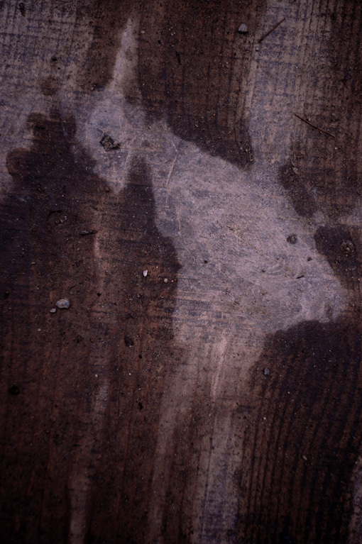 b0226423_23213606.jpg
