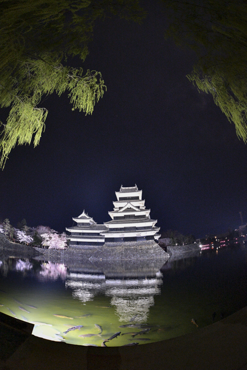 d0265224_23255798.jpg