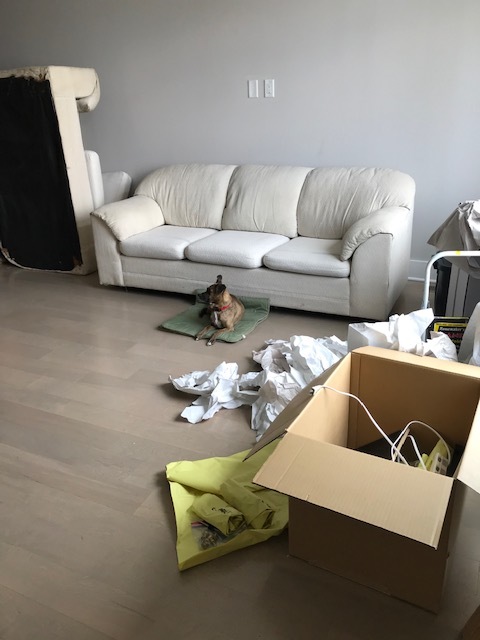 d0269832_09422768.jpeg
