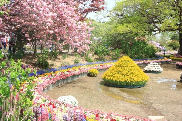 c0229539_12072352.jpg