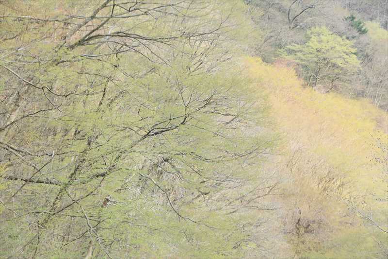 d0177549_18171101.jpg