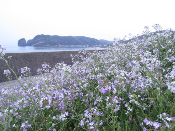 f0214649_05590280.jpg