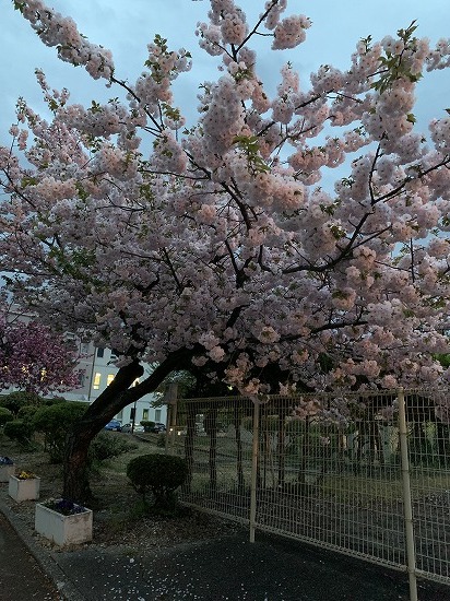 c0327752_14380001.jpg