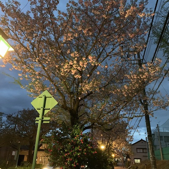 c0327752_14431302.jpg