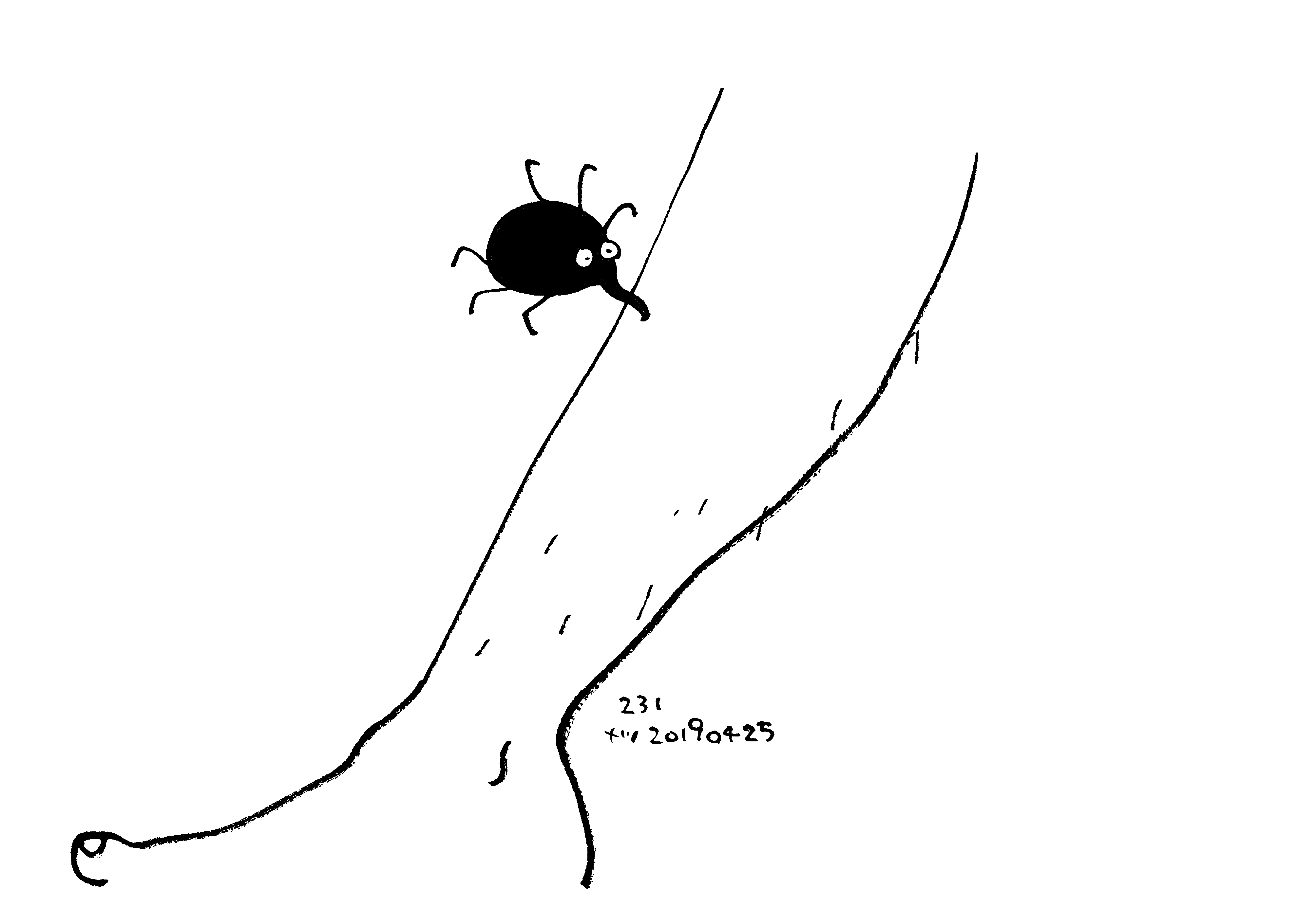 Aesop\'sFables　イソップ寓話集より：231:蚤と運動選手_e0026053_16034709.jpg