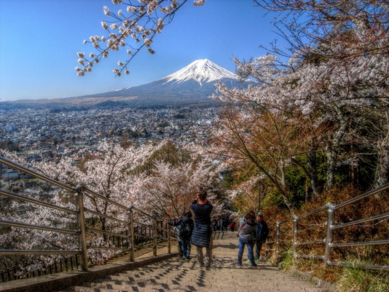 新倉山浅間公園　富士吉田　桜まつり_b0083855_05112353.jpg