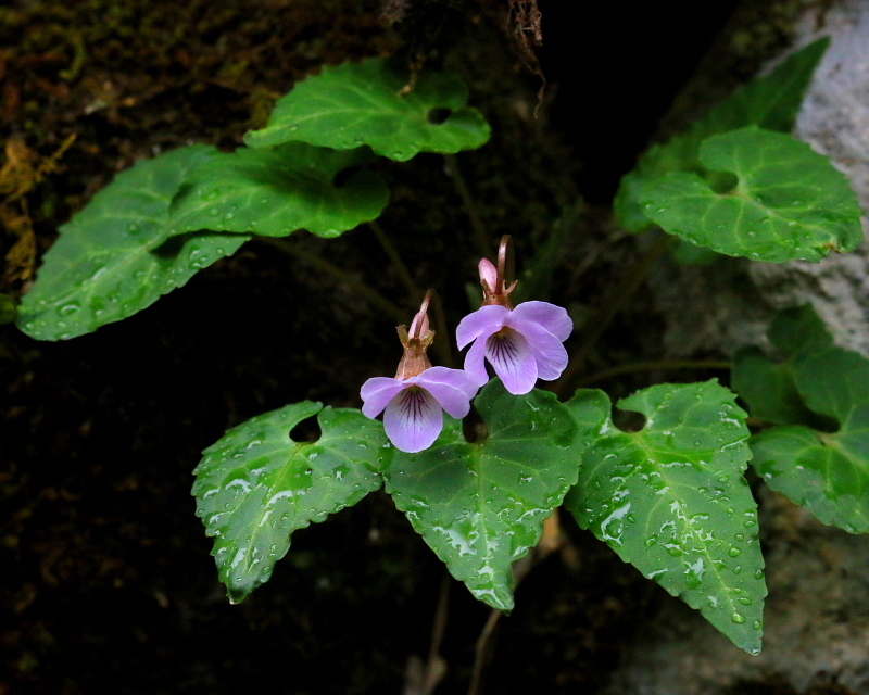 c0305565_17354187.jpg