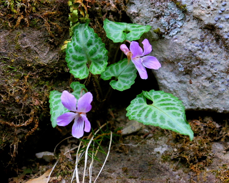 c0305565_17361272.jpg