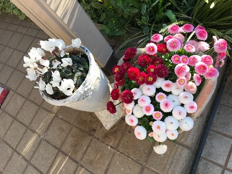 コメントにお答えします。_a0053480_06172791.jpg