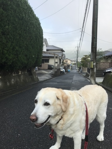 f0315081_21574279.jpeg