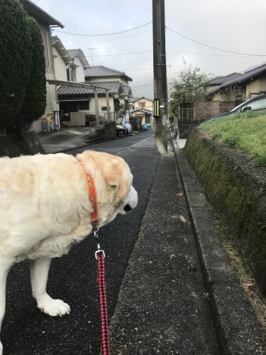f0315081_22025098.jpeg