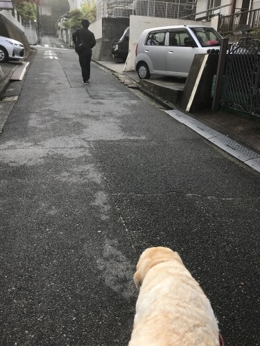 f0315081_22042904.jpeg