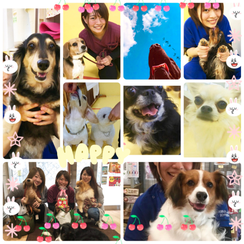 これからも素敵なわんこライフを(*^^*)_f0357682_20131002.jpg