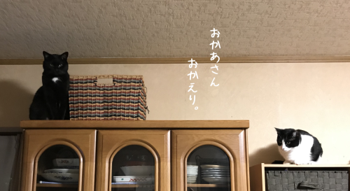 a0216583_22363204.png