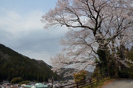 c0229483_9291479.jpg