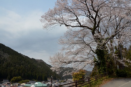 ★郡上八幡　郡上八幡城_c0229483_9291479.jpg