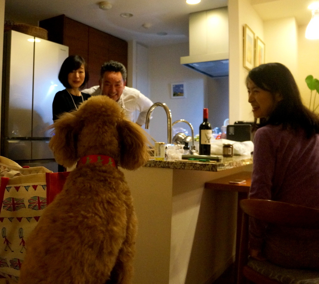 山手のK邸へ 4/13_c0180686_12072160.jpg