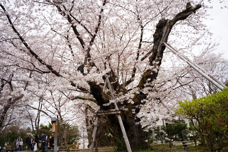 d0234293_19505469.jpg