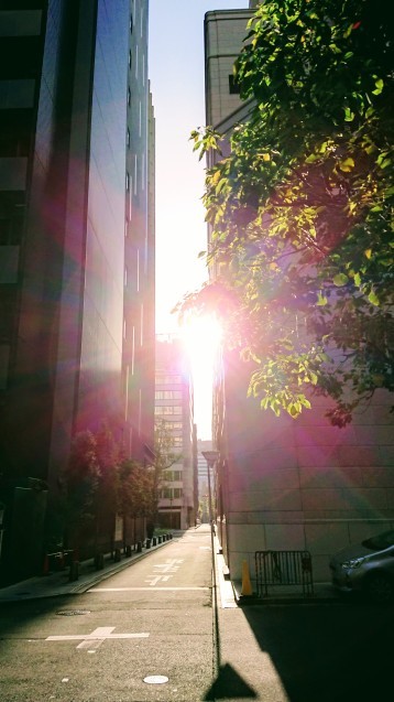 e0167593_13493640.jpg