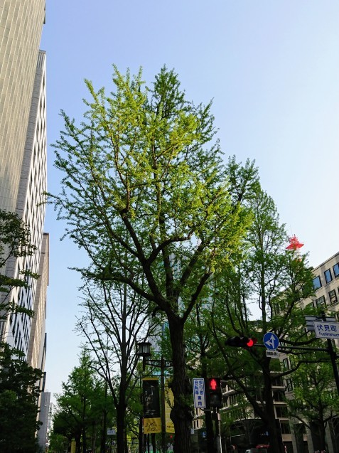 e0167593_13502427.jpg