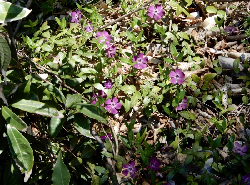 e0025300_11421484.jpg