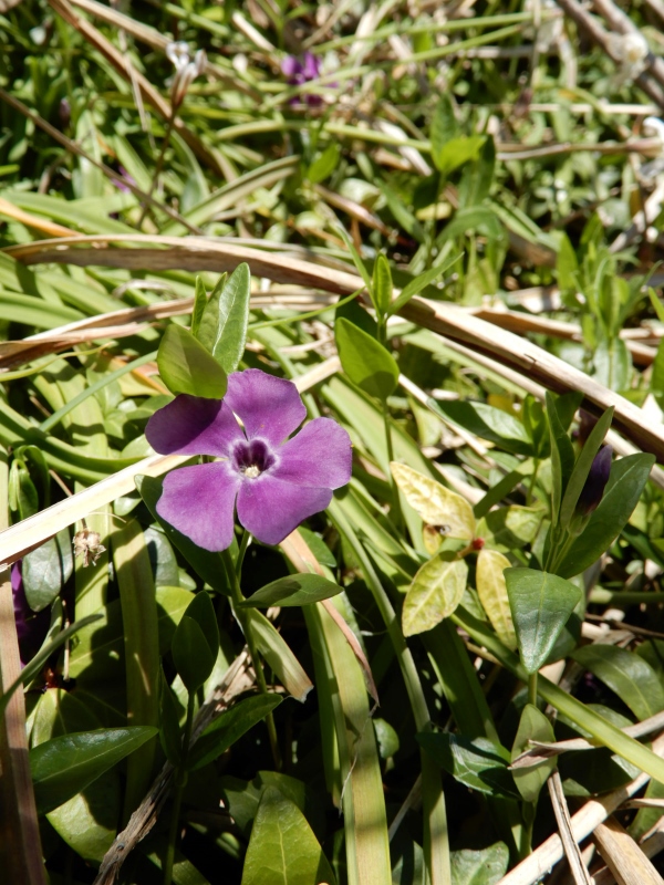 e0025300_11454531.jpg