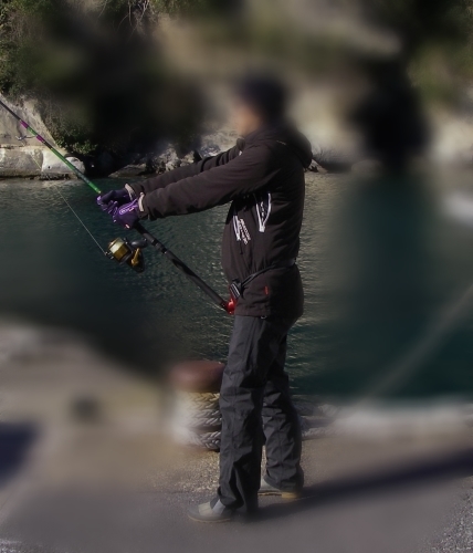 力の均衡へ ポンピング 海の理 力の均衡へ ポンピング 海の理