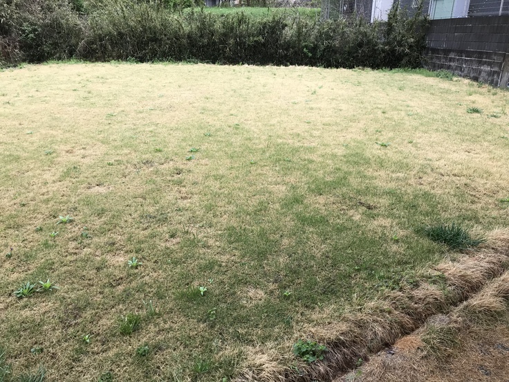 さっそく戦いが始まった!_c0212604_1362798.jpg