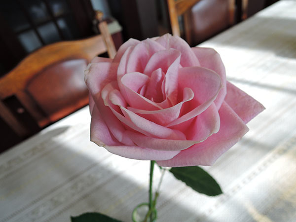 d0168406_09230934.jpg
