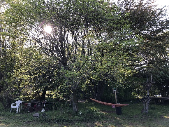 f0364707_10350198.jpg