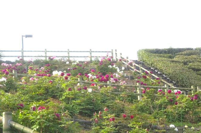 f0231709_00094883.jpg