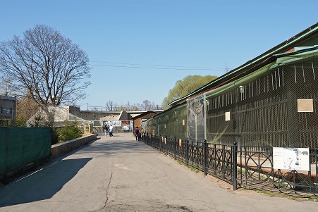 a0151913_873373.jpg