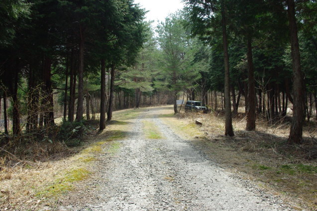 d0341514_22122660.jpg