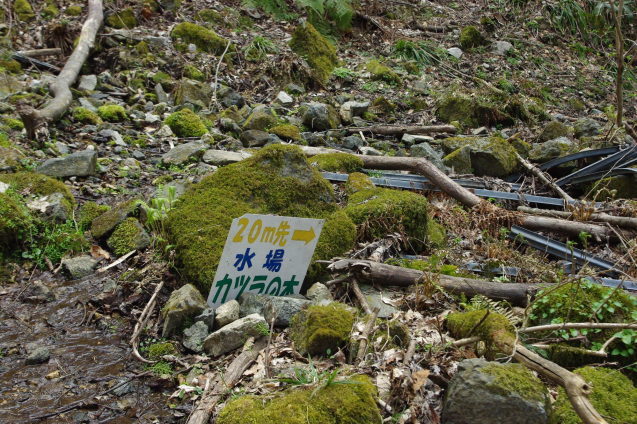 d0341514_22150891.jpg