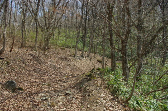 d0341514_22162798.jpg