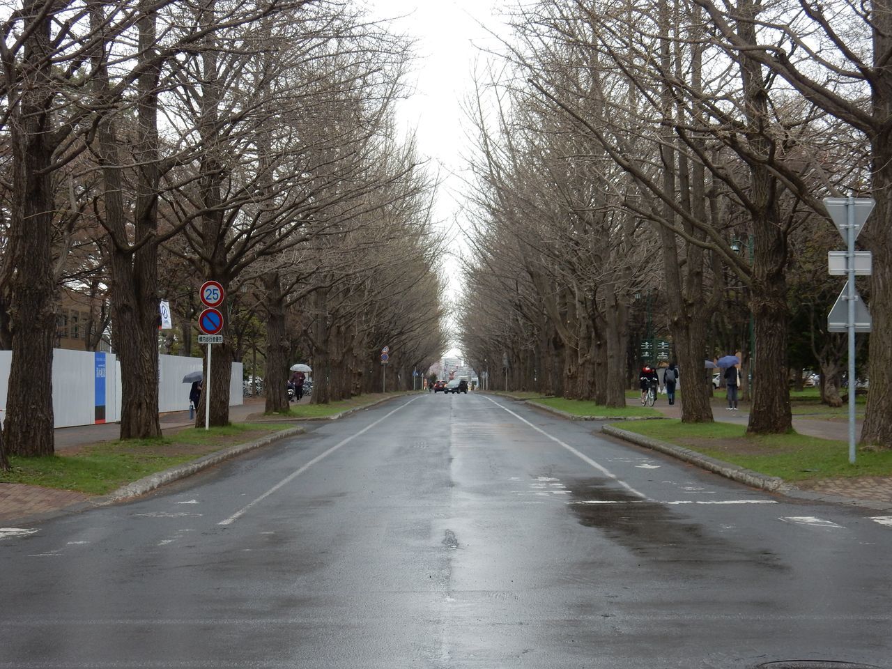 小雨の北大キャンパス_c0025115_22124807.jpg