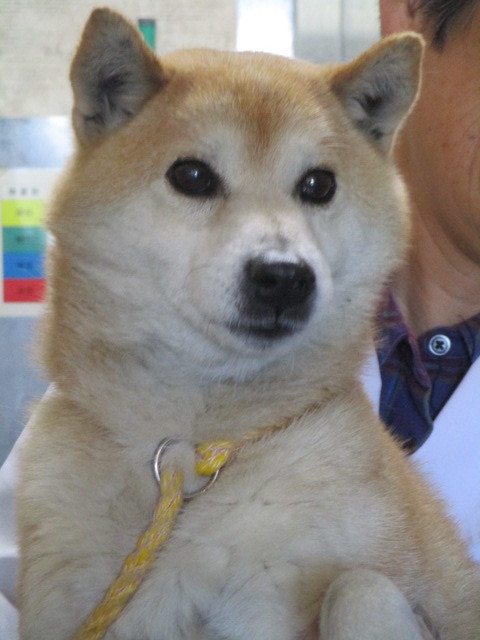 f0078320_01170424.jpg